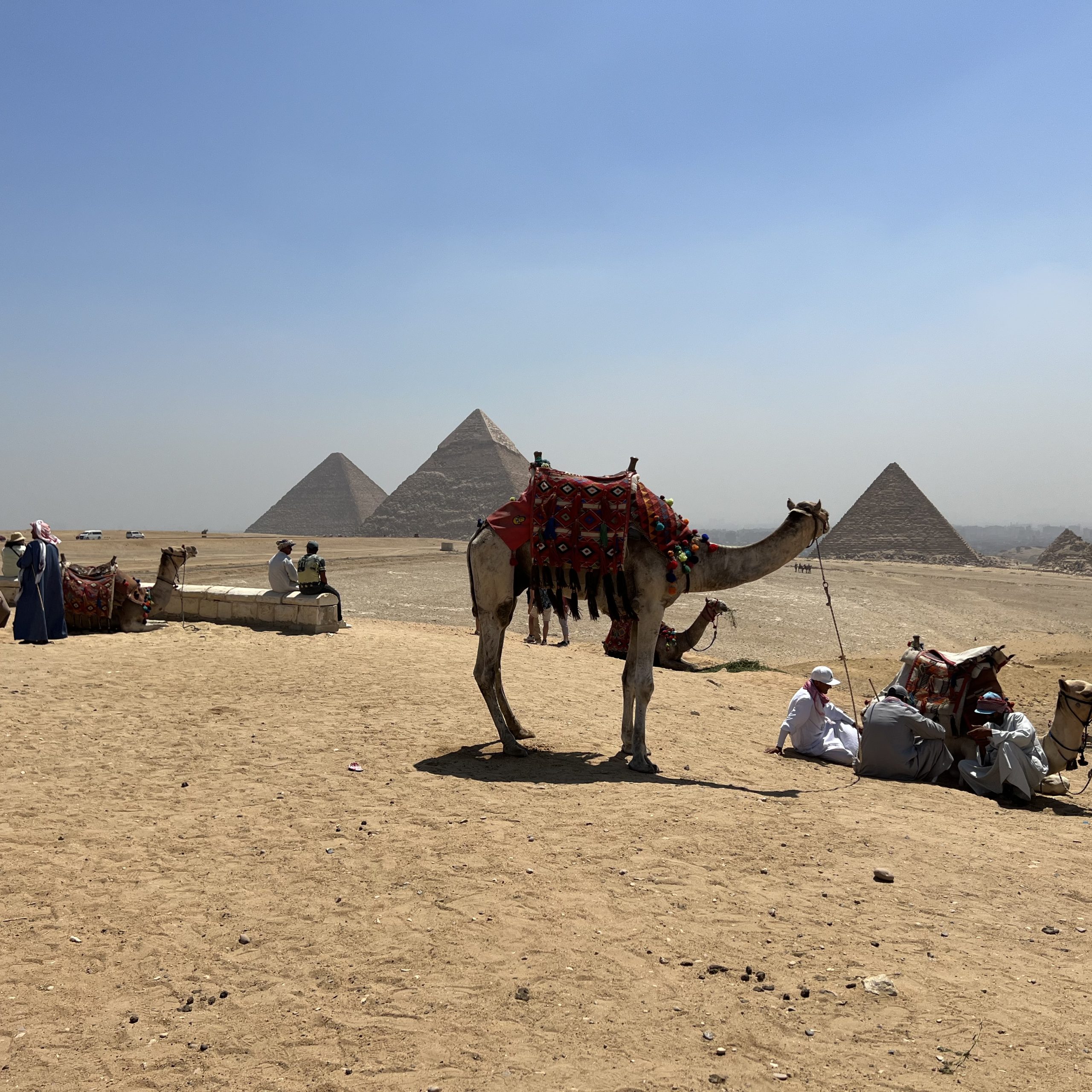 Two Days Cairo Highlights “included overnight stay”