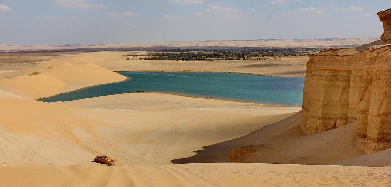 From Cairo to Fayoum Oasis One day trip