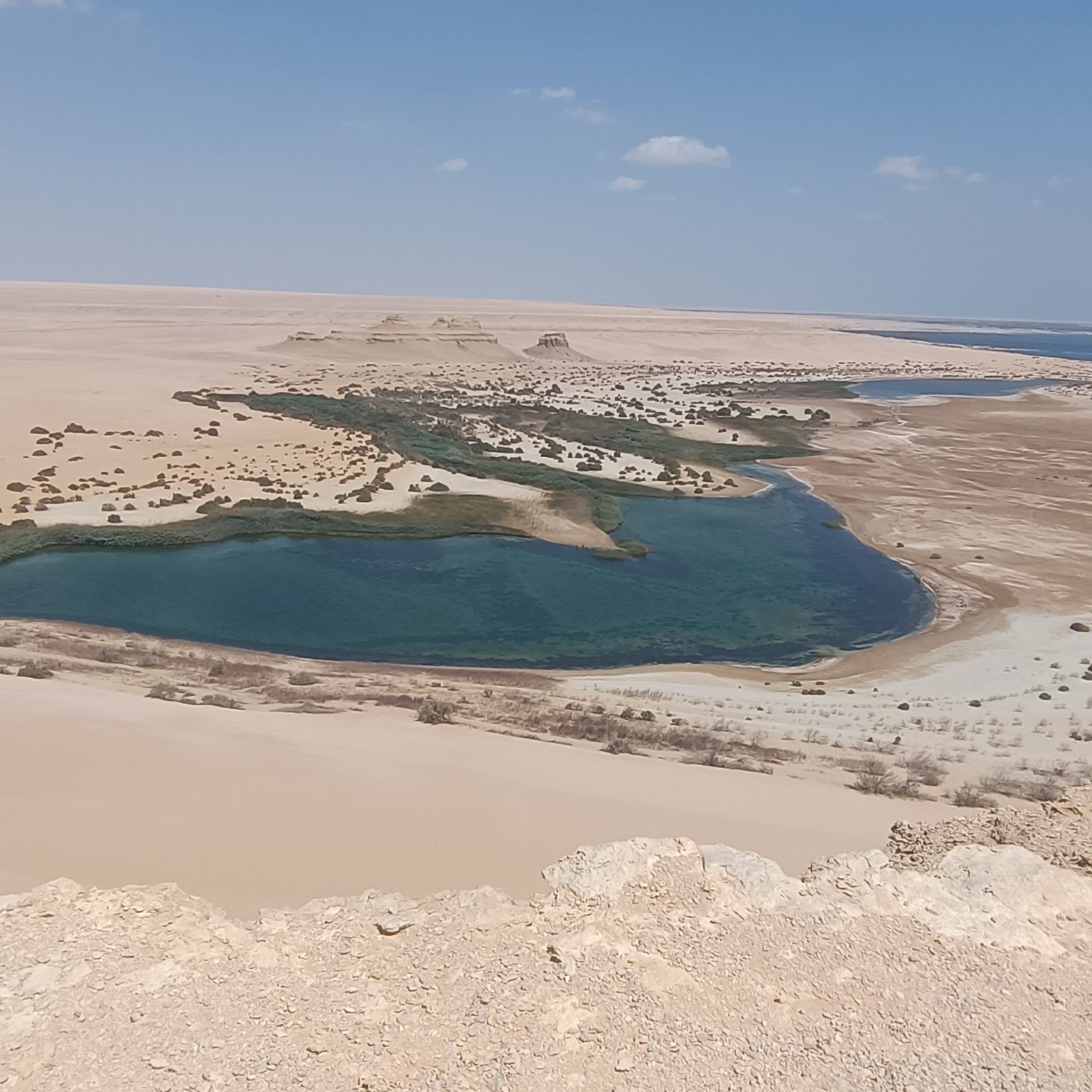 From Cairo to Fayoum Oasis One day trip